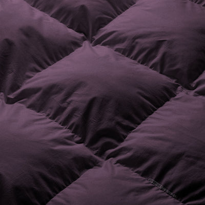 Soft And Breathable Plum Comforter