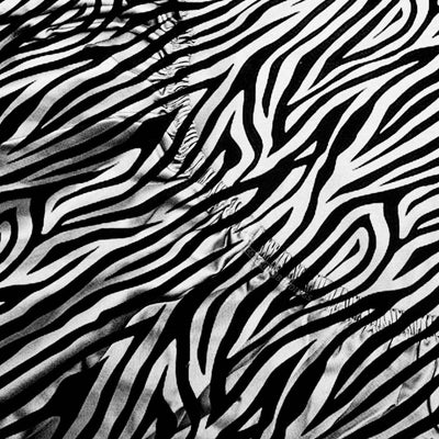 Zebra Print Fitted Sheets Set