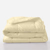 Luxury Soft Ivory Comforter