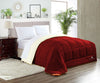 Ivory and Burgundy Reversible Comforter